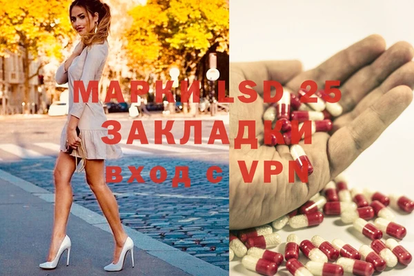 дмт Верея